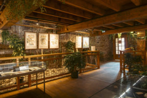 le-chateau-des-etoiles-2