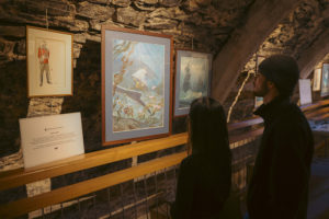 le-chateau-des-etoiles-6